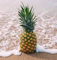 Pineapple and Driftwood